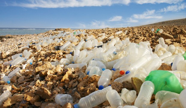 Alliance for the elimination of plastic waste